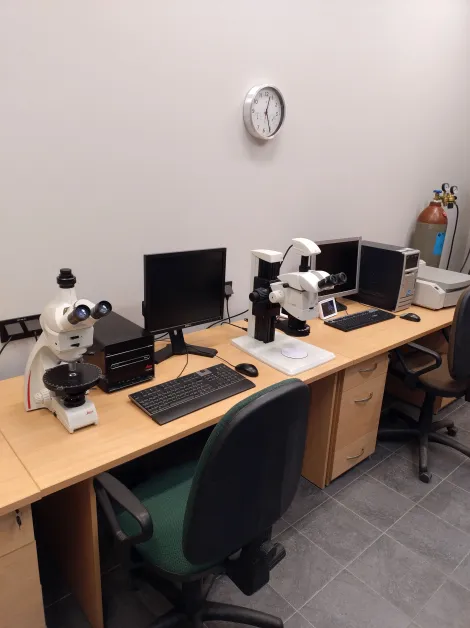 Pomieszczenie PTZ. Stanowiska do dokumentacji makrofotograficznej i badań mikroskopowych. alt: Długi stół z ustawionymi na nim mikroskopami, monitorami i komputerami. 