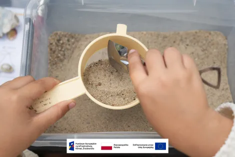 Zbliżenie na plastikowy pojemnik wypełniony piaskiem, w którym znajduje się sitko, przez które dziecko podczas warsztatów przesiewa piasek w poszukiwaniu skarbów. 